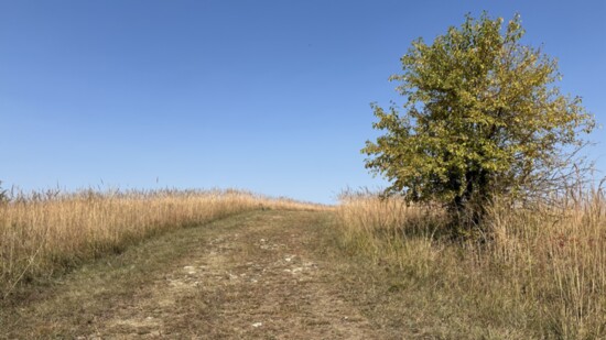 Roger Schultz Community Park