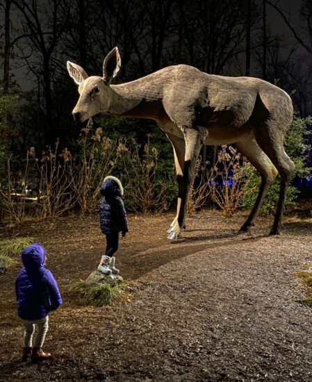 Deer by Tony Tasset stands 20 feet tall in the North Forest. 