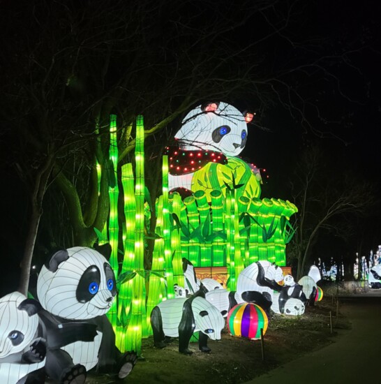 OKC Zoo's Safari Lights runs Nov. 9-Jan. 1. (Photo by Lindsey Davies)