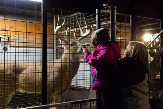 White-tailed deer were a favorite attraction prior to 2021. 