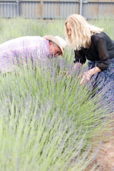 Lisa and her husband picking lavender