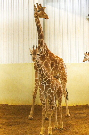 Tana with her baby, Archie. Photo by Stacy Berg.