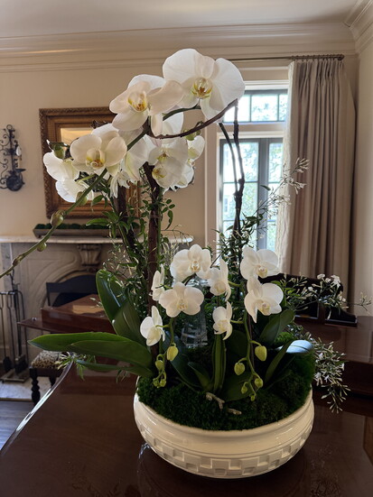 Follow @ACandMeDesigns for more inspiration and tips.