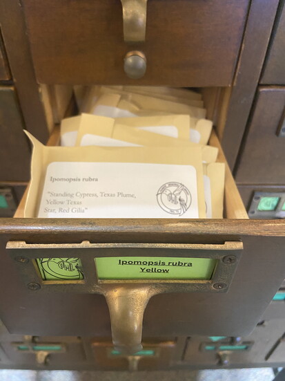 Old card catalogs were converted into seeds for a seed library