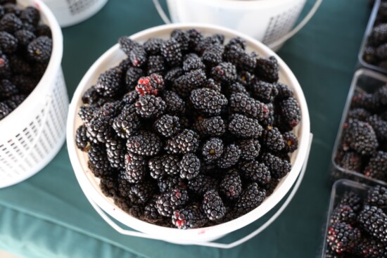 Delicious blackberries are a local favorite.