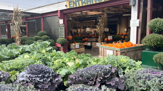 Photo by Jill Lauterbach