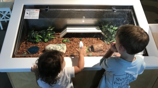 Museum at Prairiefire
