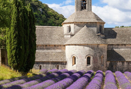 Abbey of Senanque and Lavender Field in France