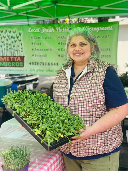 Vidisha Salunke — Metta Micros