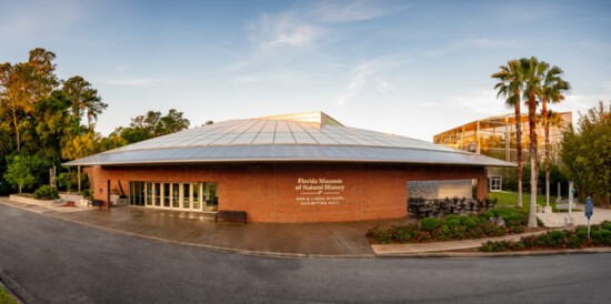 The Florida Museum of Natural History