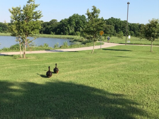 Bob Woodruff Park;  Photo by: City of Plano