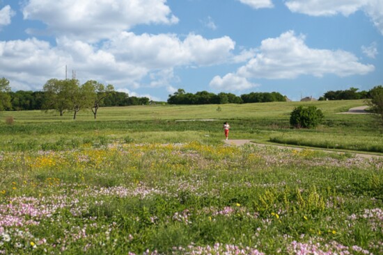 Oak Point Nature Preserve; Photo by: Donna de Chabert