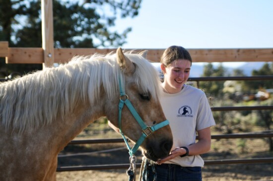 For 100+ days, Rowden works to desensitize Silas and train him, with a goal to be riding at the end of the 100+ day challenge. 