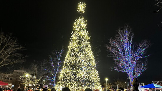 Woodstock Christmas Jubilee festival