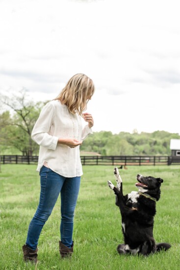 Training in Action at Wag It Better Dog Training