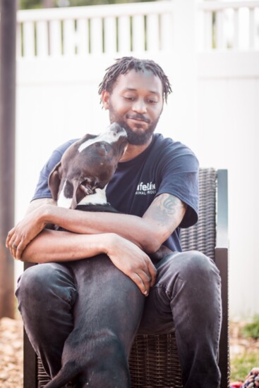 Want to help? Consider adopting, fostering, or volunteering at your local shelter.