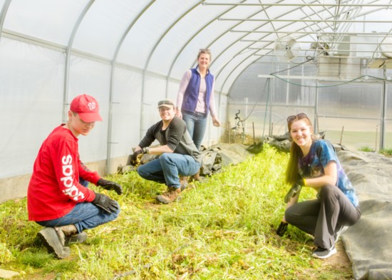 Volunteers Tend a Greenhouse for AFarmLessOrdinary.org