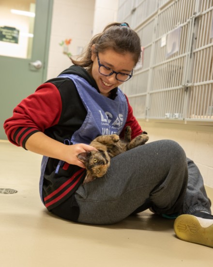 Loudoun County Animal Services Volunteer Opportunities Abound