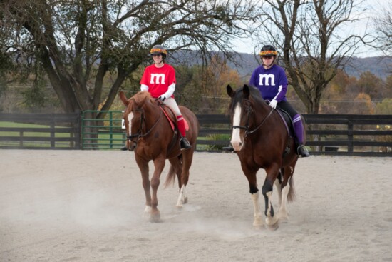 Loudoun Therapeutic Riding, the oldest organization of its kind in Virginia, celebrated its 50th anniversary in 2024. Caroline Gray Photo