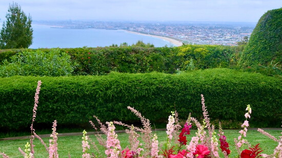 A stunning wedding arrangement at La Venta Inn, with bold blooms taking center stage against sweeping South Bay views.