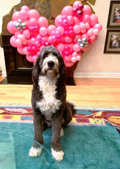 Georgie enjoys receiving V-Day hearts, too. 