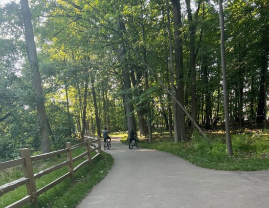 Explore wooded trails together at one of our famous parks.