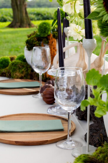 Styled by Flourish Design & Decor at Cedar Lawn Farm