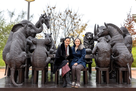 The Wild Table of Love outside of The Ralston features endangered animals. The empty seats invite you to join them and be a part of wildlife conservation. 