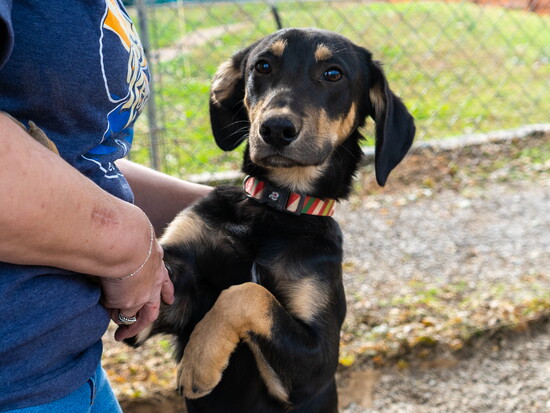 Photo by Emily Baeszler Photography