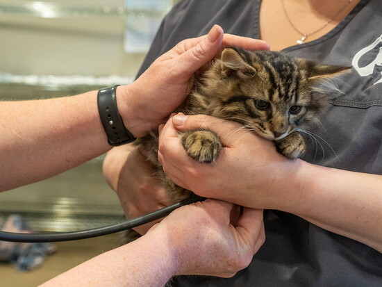 Photo by Emily Baeszler Photography