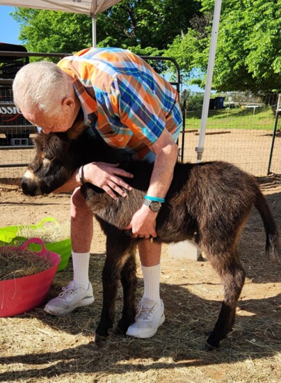 These donkeys show love unconditionally.