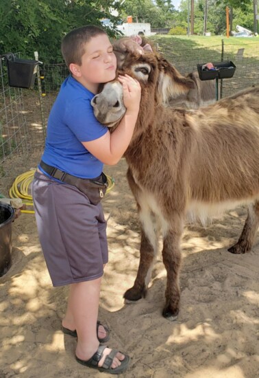 Loving Long Ears donkeys are there when you need them. 