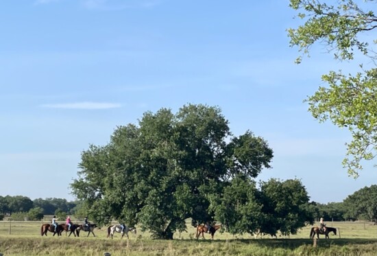 Trail Rides on Horseback