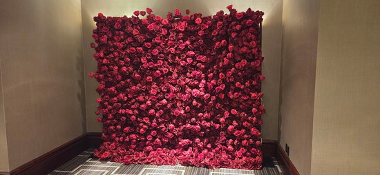 Photo 15 of 22