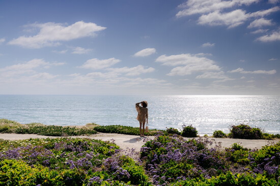 Terramar Beach