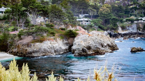 Magnificent Monterey