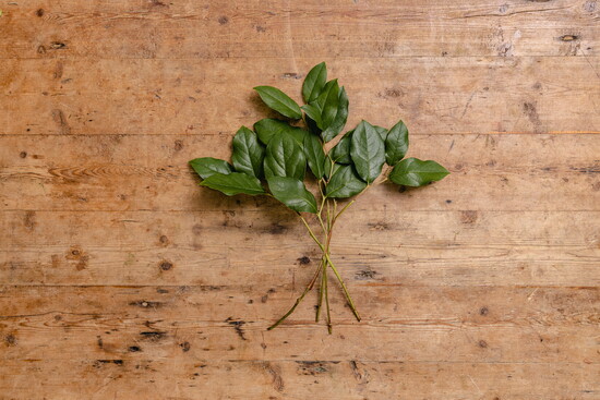 Lay your first greenery on your workspace, in a slightly fanned-out shape.