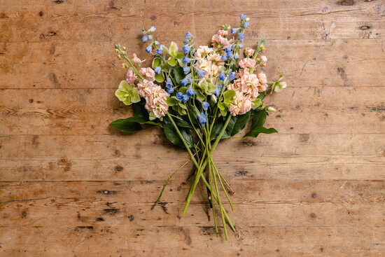  Next, add 3 stems of Delphinium