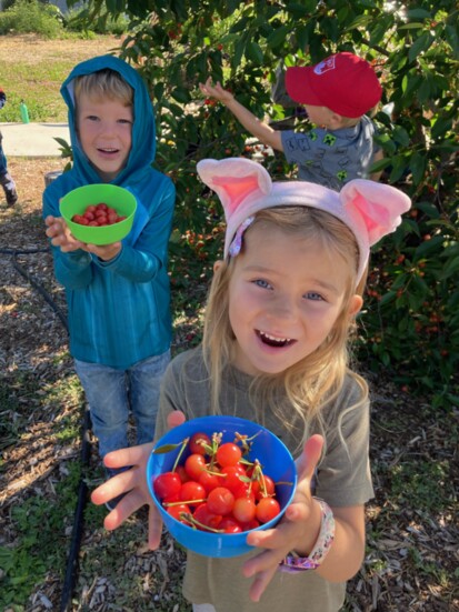 Happy cherry harvesters!