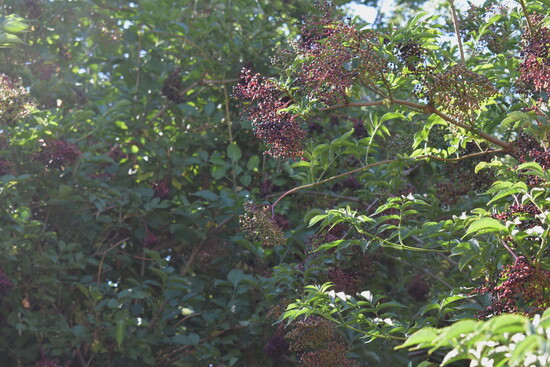 Photo 8 of 9
