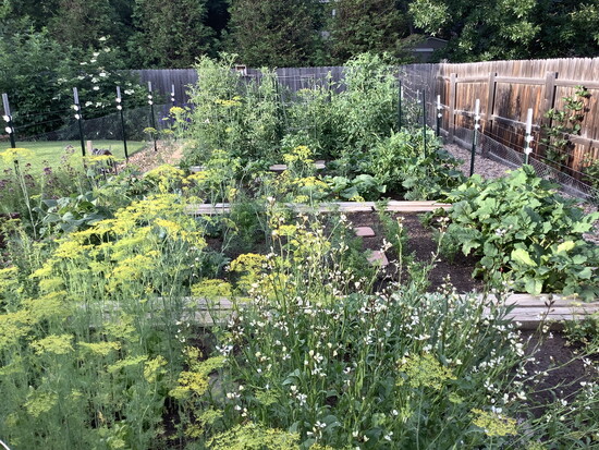 Photo 3 of 9