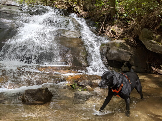 Weston with his legendary spirit on one of his many adventures.