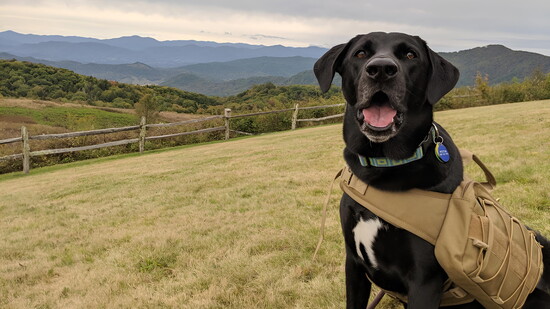 Weston lived life to the fullest.