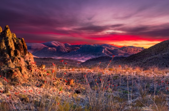 Sunset at Big Bend National Park