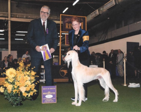 Receiving Best of Breed at the 2020 Westminster Dog Show in February