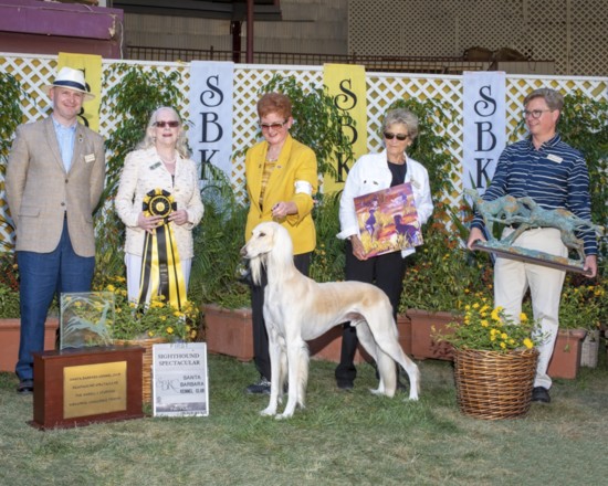 First Place at the Sighthound Spectacular presented by the Santa Barbara Kennel Club