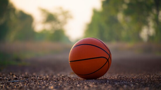 Basketball Star With Bulldog Roots
