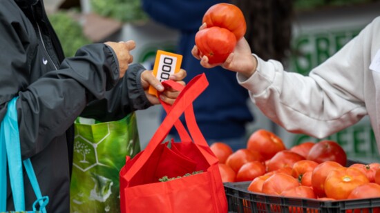 Shoppers at the Mobile Pantry in Stamford pick fresh produce.