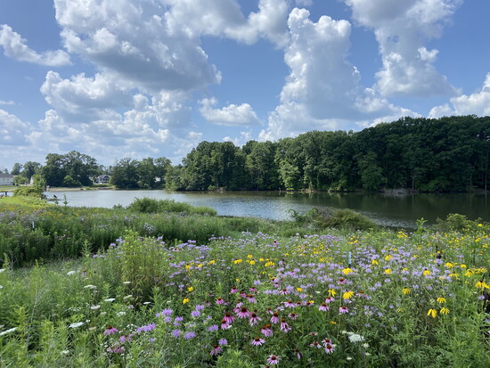 Brunswick Lake Park