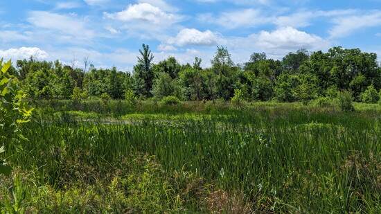 Granger Wetlands Wildlife Sanctuary